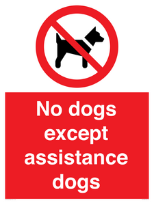No dogs except assistance dogs